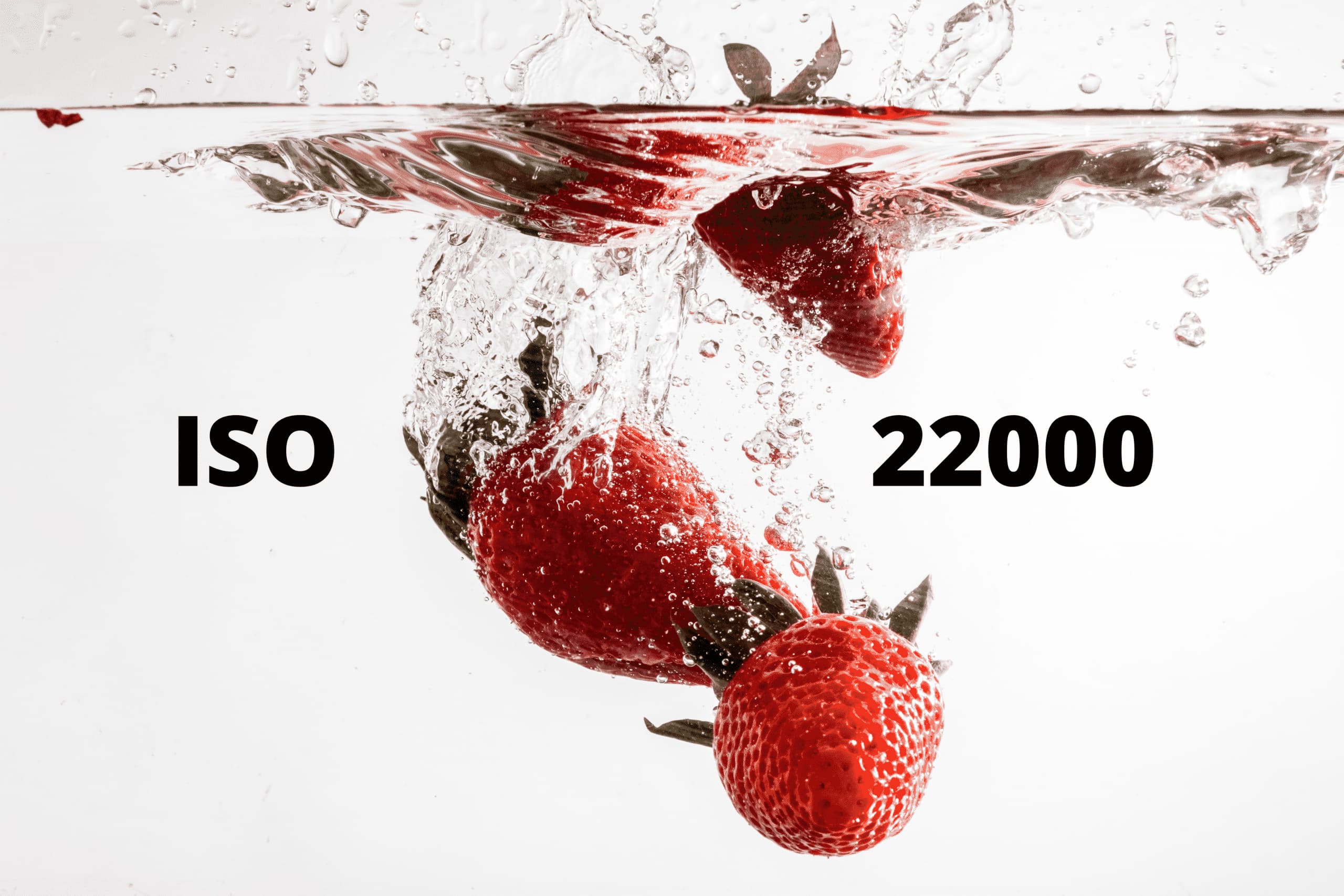 ISO 22000