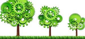 Procedure ISO 14001