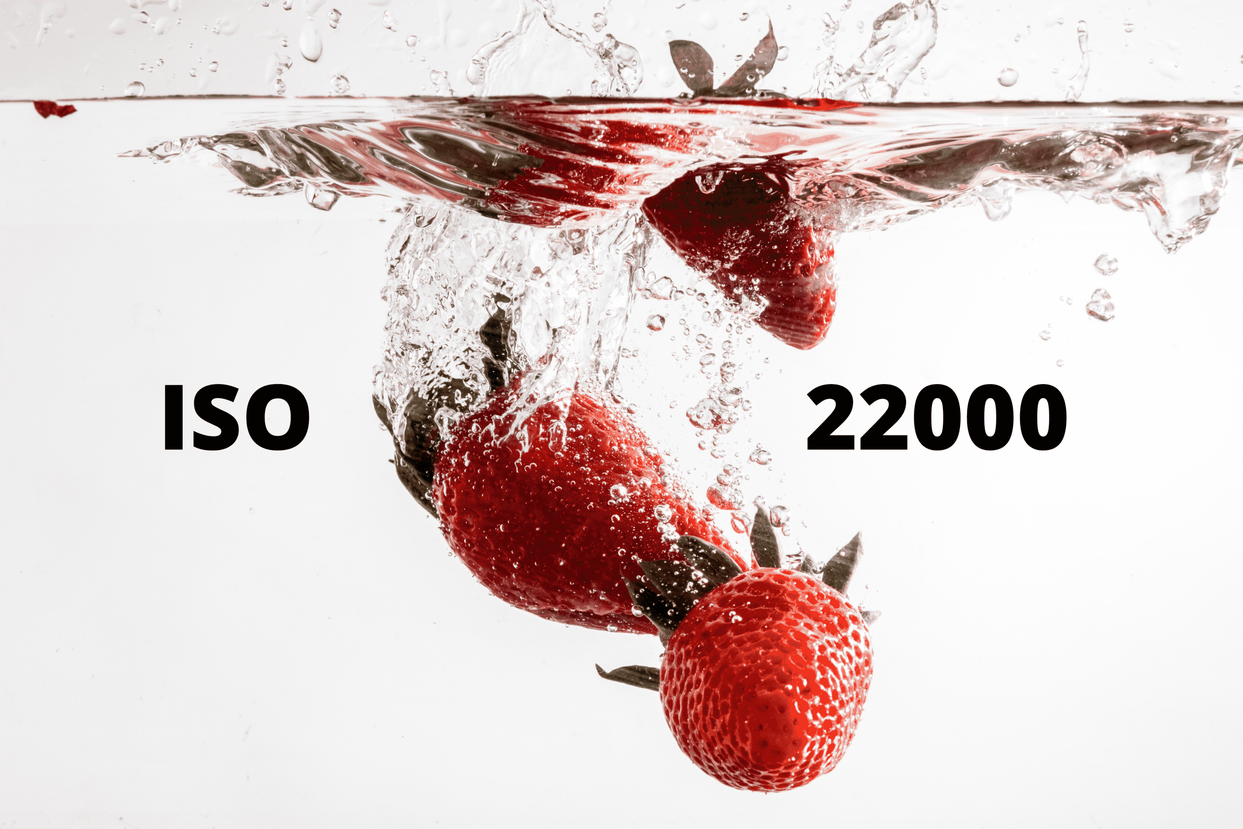 ISO 22000